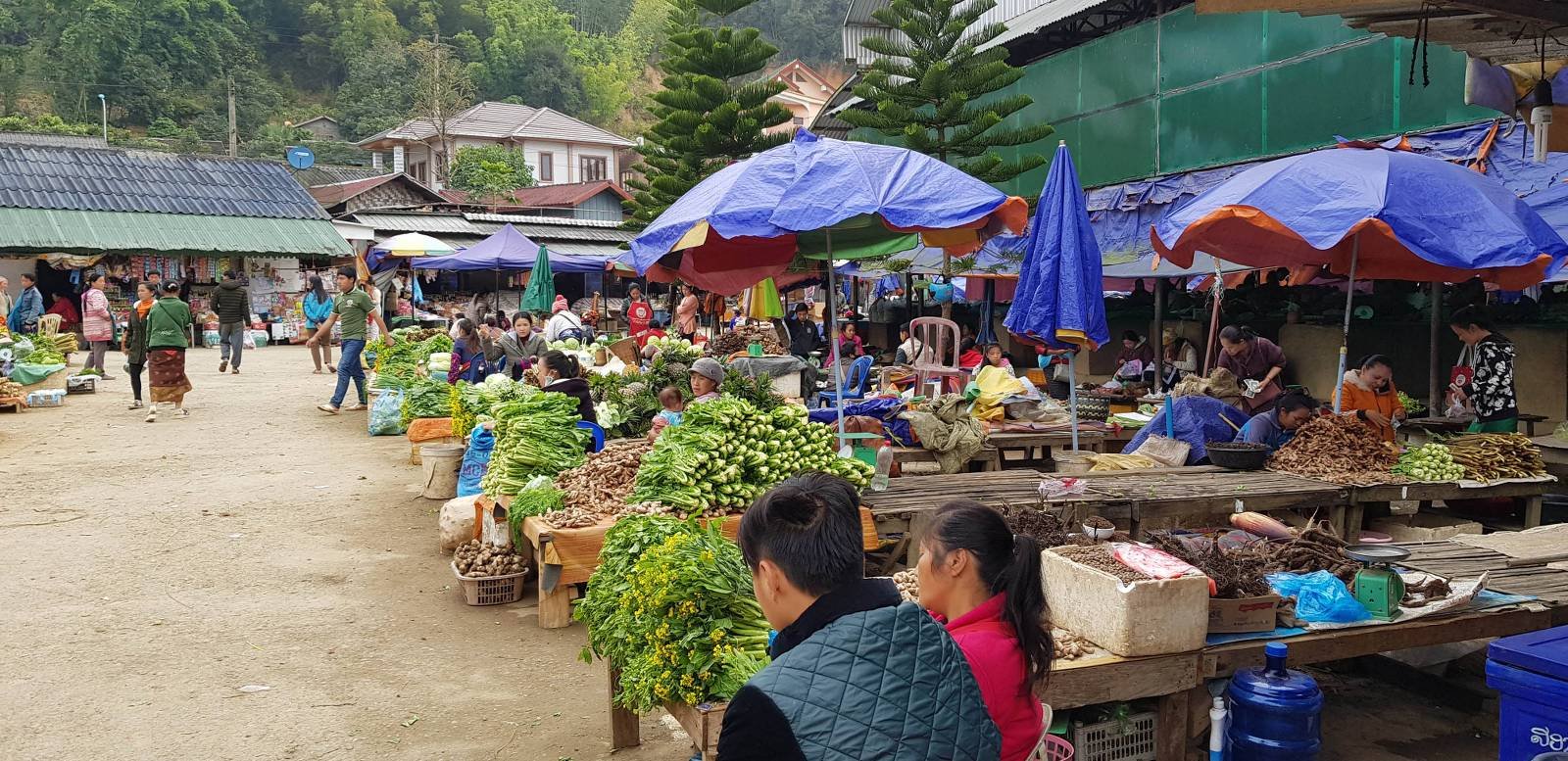 Vietnam to Laos by Bike | 10-Day Cross-Border Cycling Expedition